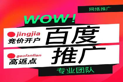 成功案例：网站sem托管如何影响销售数据